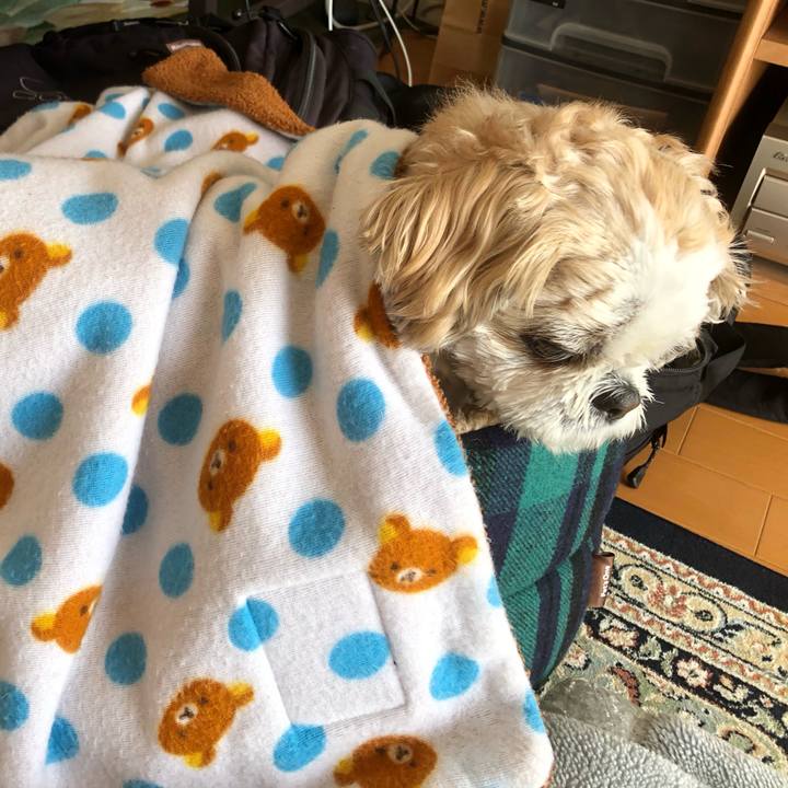 1af6d292 bc5b 4029 a7a1 7dedaec81602 1612216877586