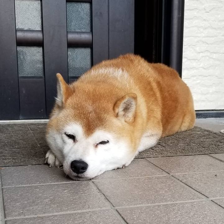 1af6d64d a670 4853 a16b 69a0fce5d436 1633565240169