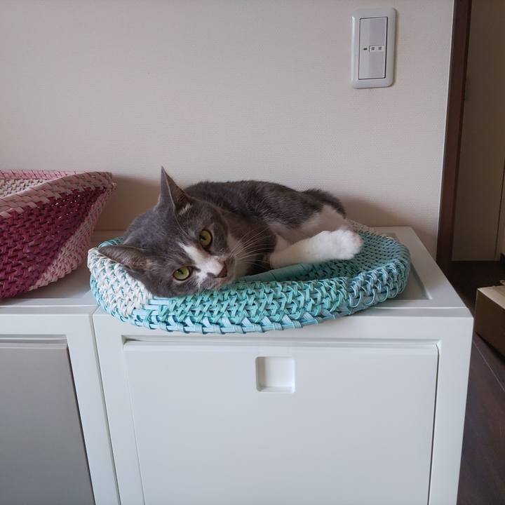 1af6f690 1f68 4834 aaf7 4d27ccce408a 1655504042986