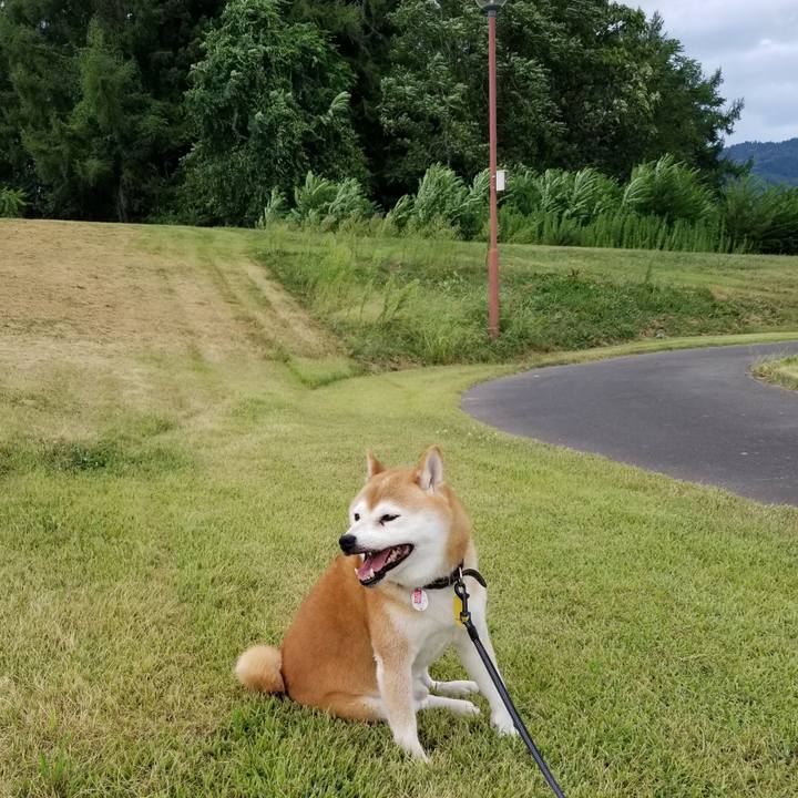 1af707ca c19a 4339 afc3 c6a77614db50 1599465909706