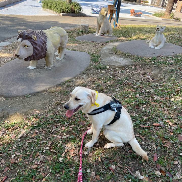 1af72b03 b34d 46cc bcf7 bc129a5967e7 1637309703535