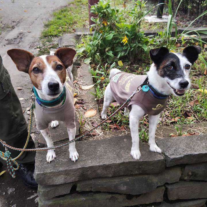 1af79e40 fc3f 4d9c 972e 67aed9e57e73 1725401719426