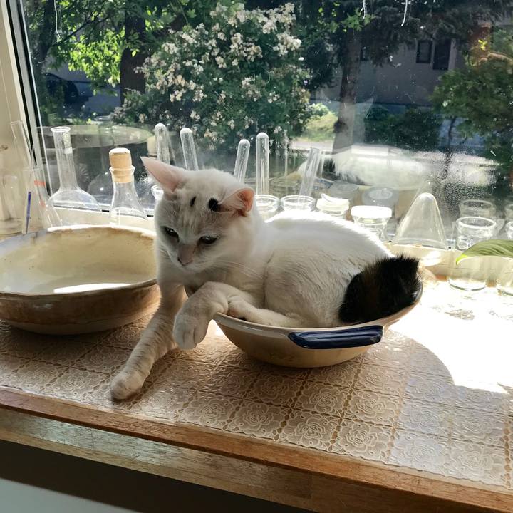 1af7a19b 575e 468d 9de8 c001aaa7dd5d 1531696909814