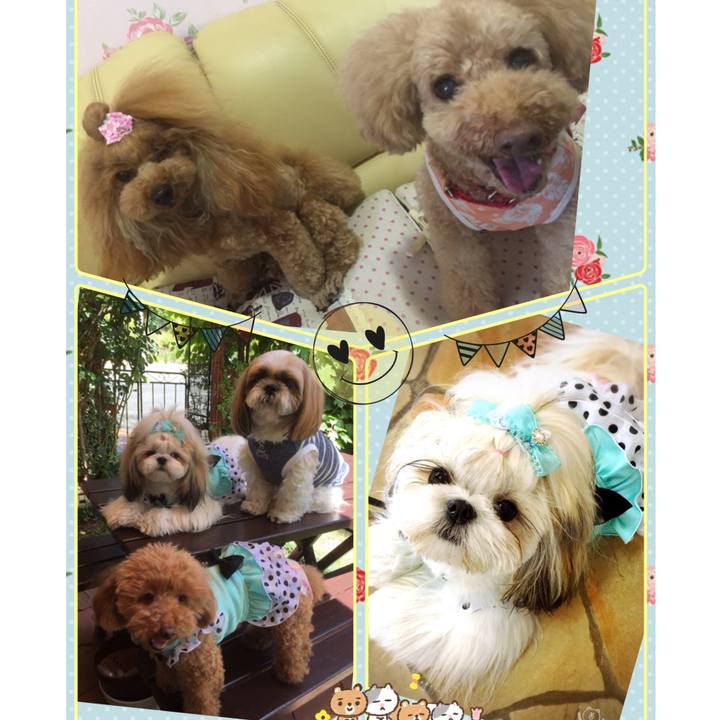 1af7a26e dd43 4984 aa50 d9f5051aed31 1526804814214