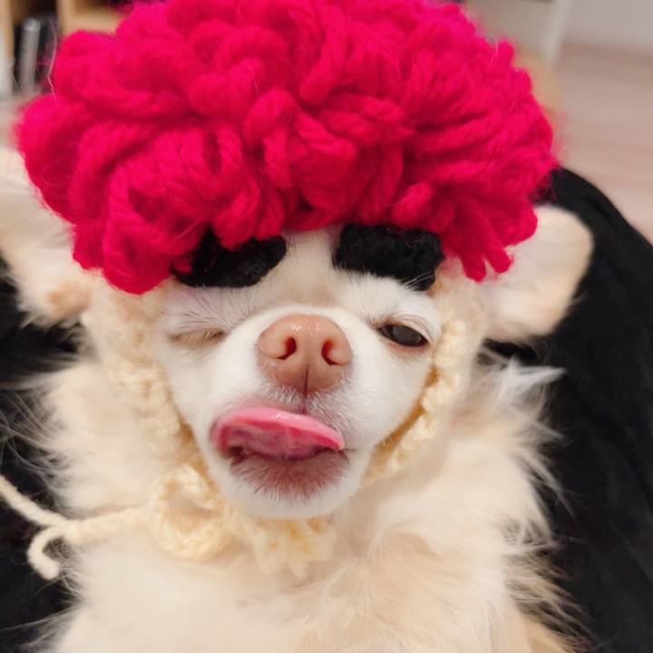 1af8557a 2f93 43b1 a2c6 d3f7b4f48b4a 1706873407417