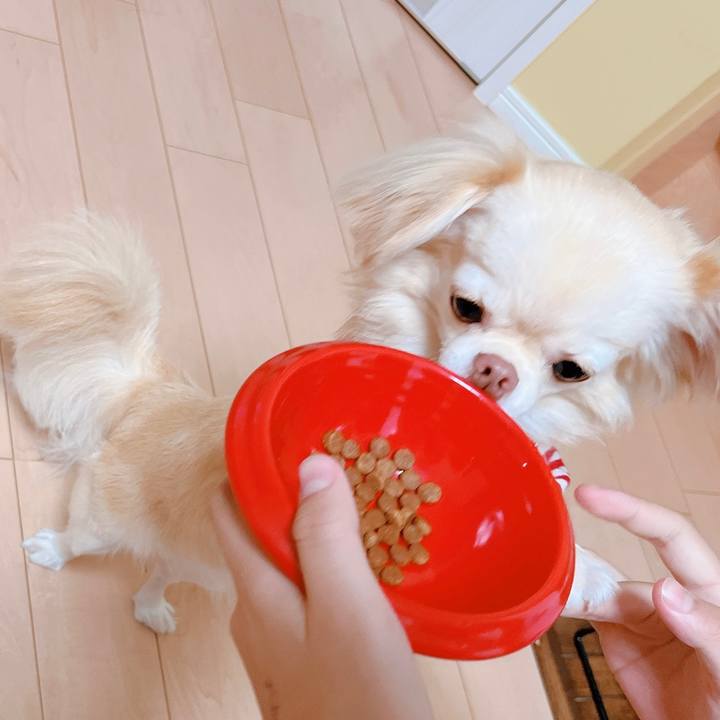 1af8643a e4cb 4dea ad54 d73656d451c7 1661762318642