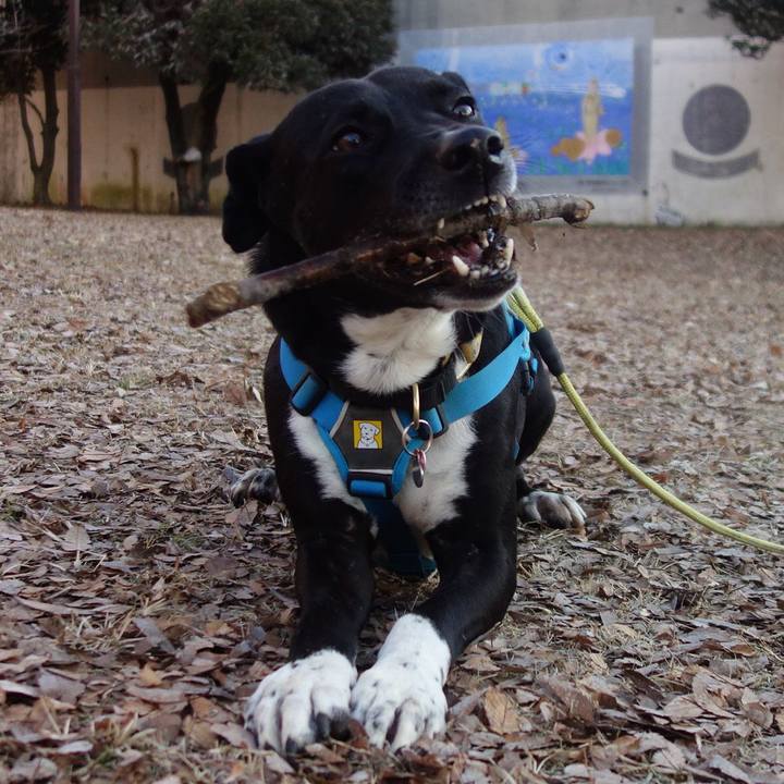 1af88542 a383 47aa 80c4 48f4f198c475 1611017148662