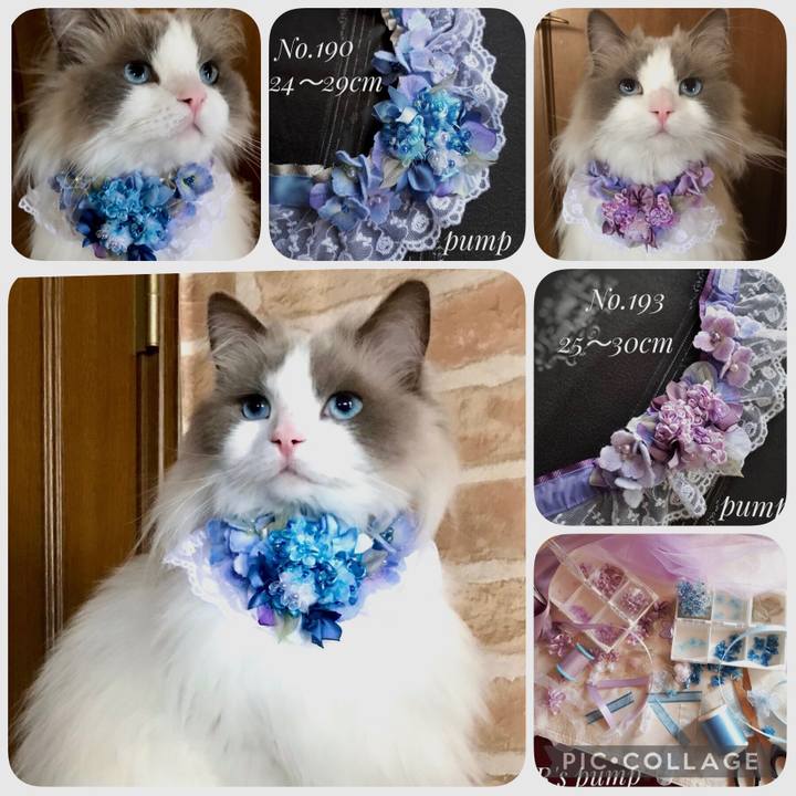 1af8c000 b259 4382 9749 e7686d371048 1619518841752