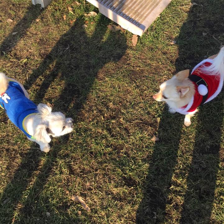 1af8daa0 e015 4f73 a6d9 1c206a939f70 1514024499250