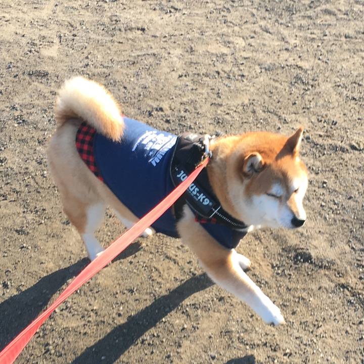 1af97525 f371 4e8c ae0c 68569e2978e9 1610583403910