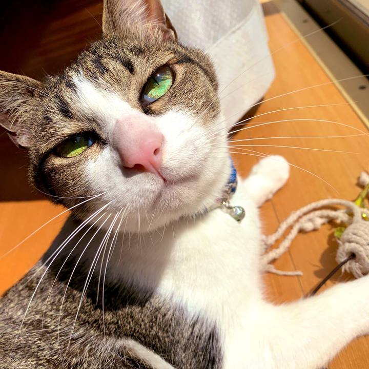 1af9ba83 ff10 481c aa58 ceab8b5c01ee 1553588499053