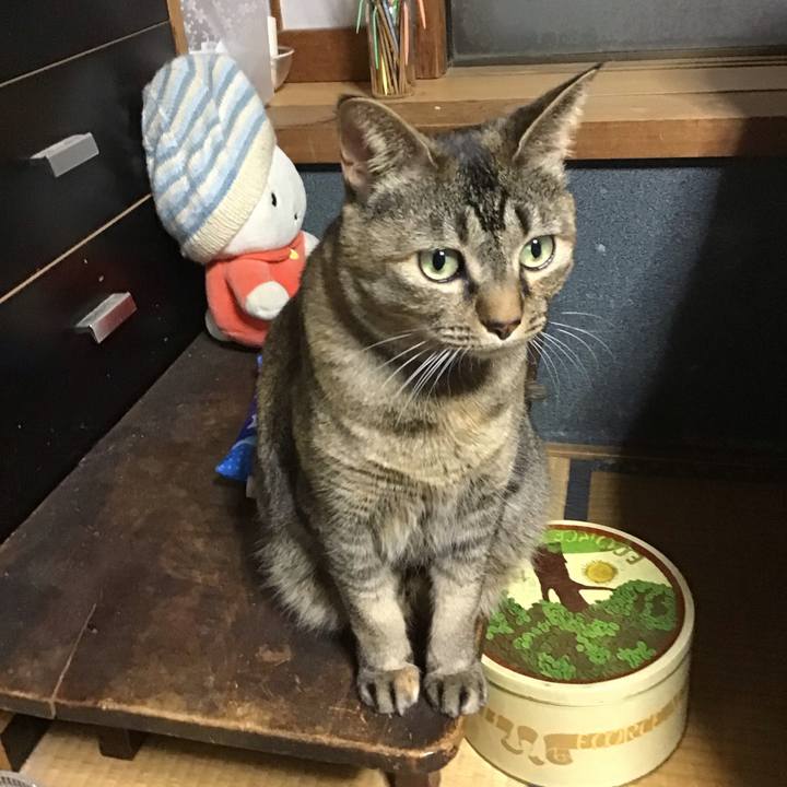 1af9cbf0 6ce1 4529 938c 9b6c2bac76c6 1709204860304