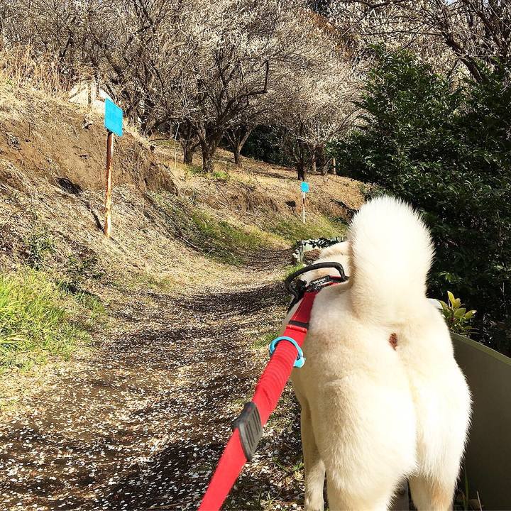 1af9ea5c 4b20 4102 9342 a313e23eb32e 1550740442733