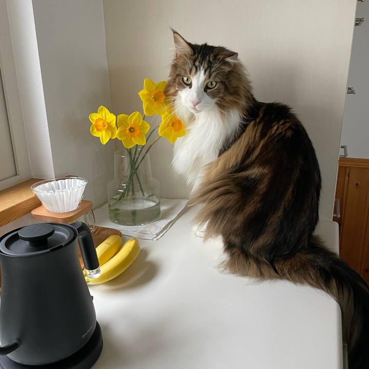 1af9ffd7 e182 48f4 b8fd c34b30a483a6 1681334309689