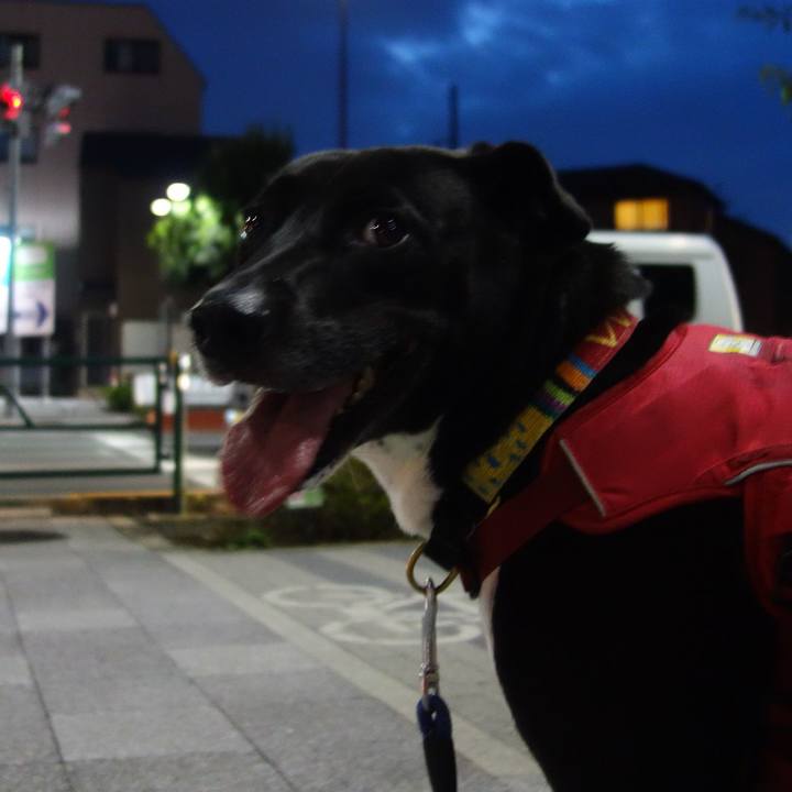 1afa3e1f d33f 4e77 9519 86a77c19d308 1632573779387