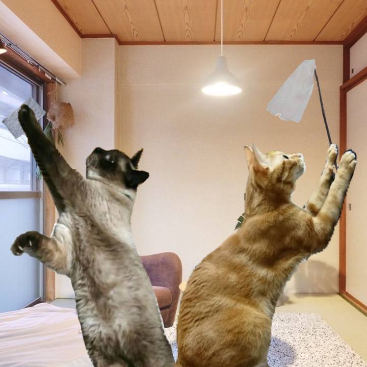 1afa73ac e89c 4150 b049 3ba6e1200bdc 1609293563763