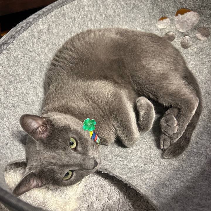 1afaa44d 369f 41a9 b635 84ff15e9b109 1727661200164