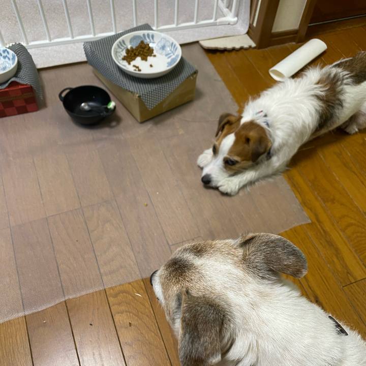 1afac164 ef61 41f7 a587 7fdaa7c8e15b 1699393887655