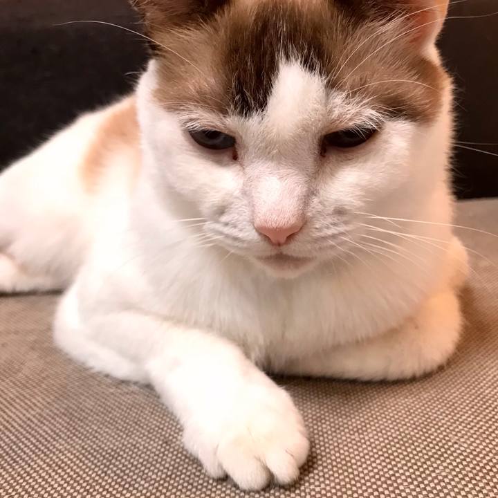 1afac4e2 9250 4e64 9466 d40380da2661 1602113155134