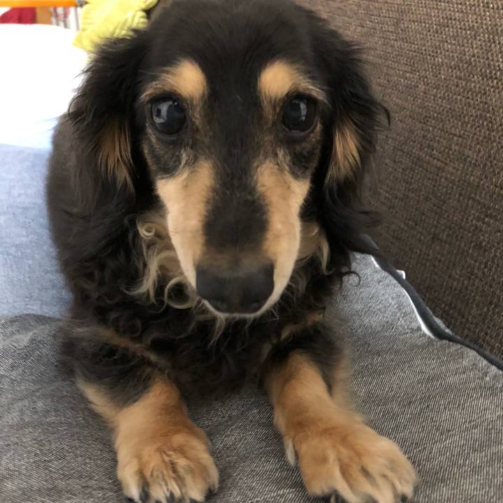 1afb54f8 a331 445c 9838 0c98ff23b22c 1589036877334