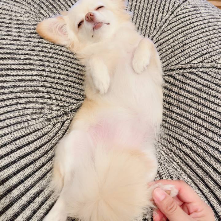 1afbb3de 1509 4d49 89f6 7d79ac4e968d 1721257964612