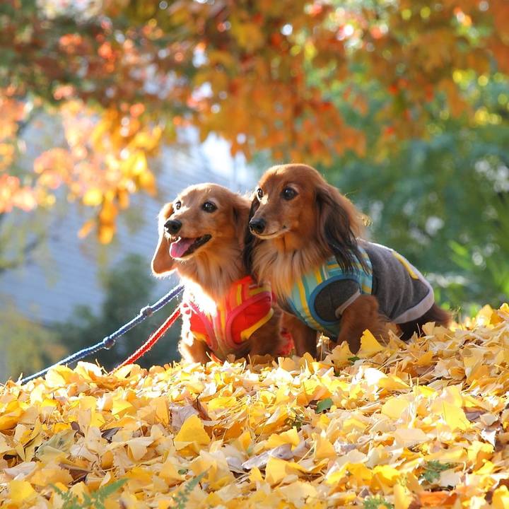 1afc5d9f 6e04 4d4e b4ba 0874c13af1d3 1763705220089