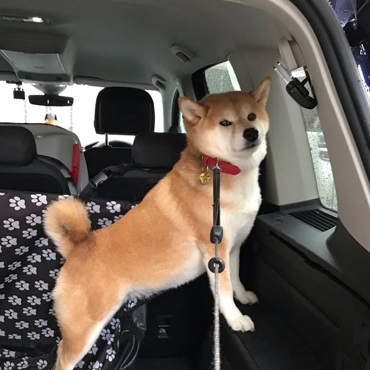 1afc6d1a 124e 4117 9bbc 71d5d766fb54 1571956445344