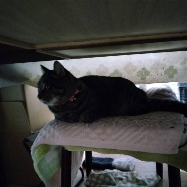 1afc8c0b fead 49a2 8611 d36096d3ef8a 1668635233038