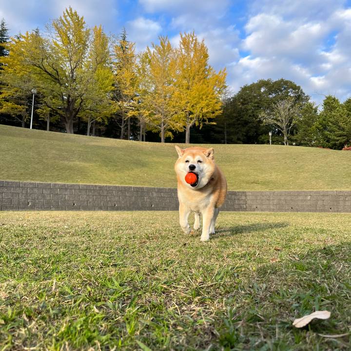 1afcb020 2b51 49e7 a2ca 65e4c05be1c3 1708857199170