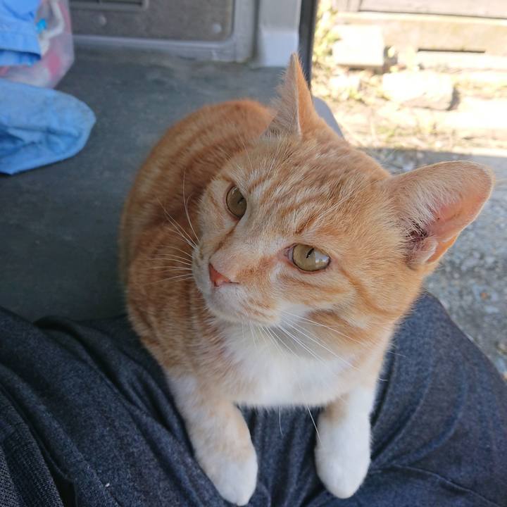 1afce01d f06b 4faa a820 beff736652e0 1586582794457