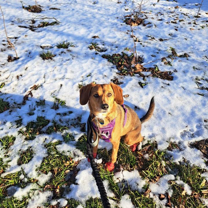 1afd084b bdb3 4e9b 9c3e c6fea2e44a4a 1766613853523