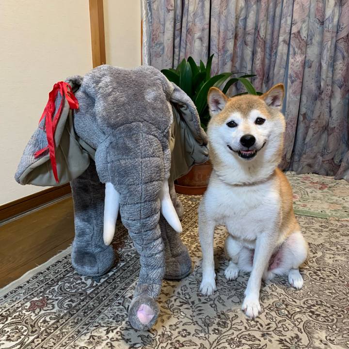 1afd21d0 1489 474b 881a cc7c3a8fda1a 1660388047244