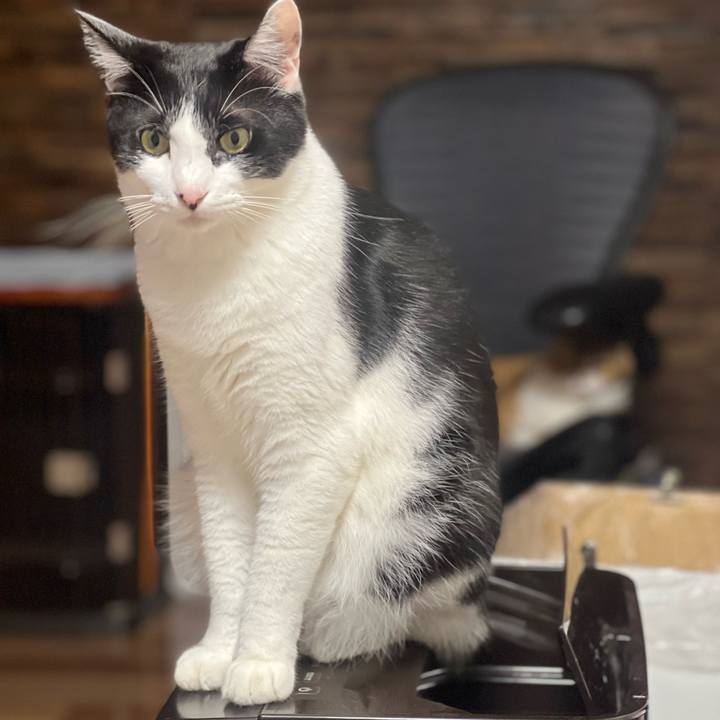 1afd2abf 93c1 46a0 8e80 313cbf0127ce 1662201901926