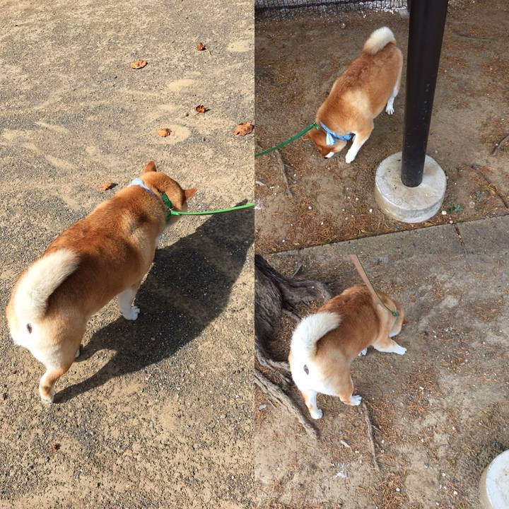 1afd2f90 14b3 4438 a744 faf25b90b9ce 1599267728365