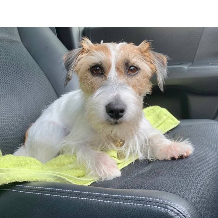 1afd371f 1237 40dd 8152 1d1fe81de592 1628747797231