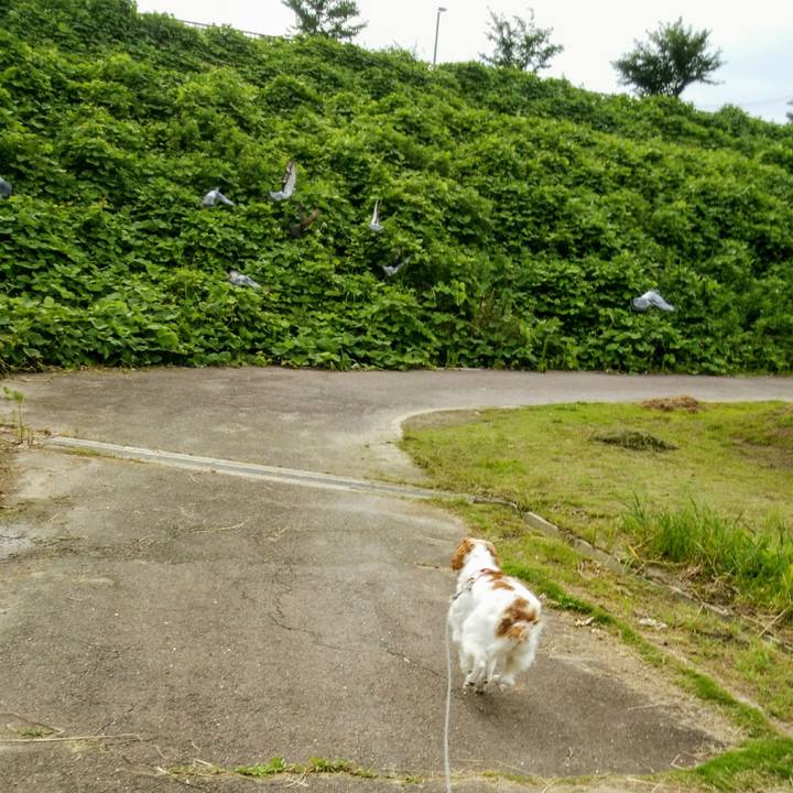 1afd4241 a856 4474 b7db ba294a9b72fd 1563277335518