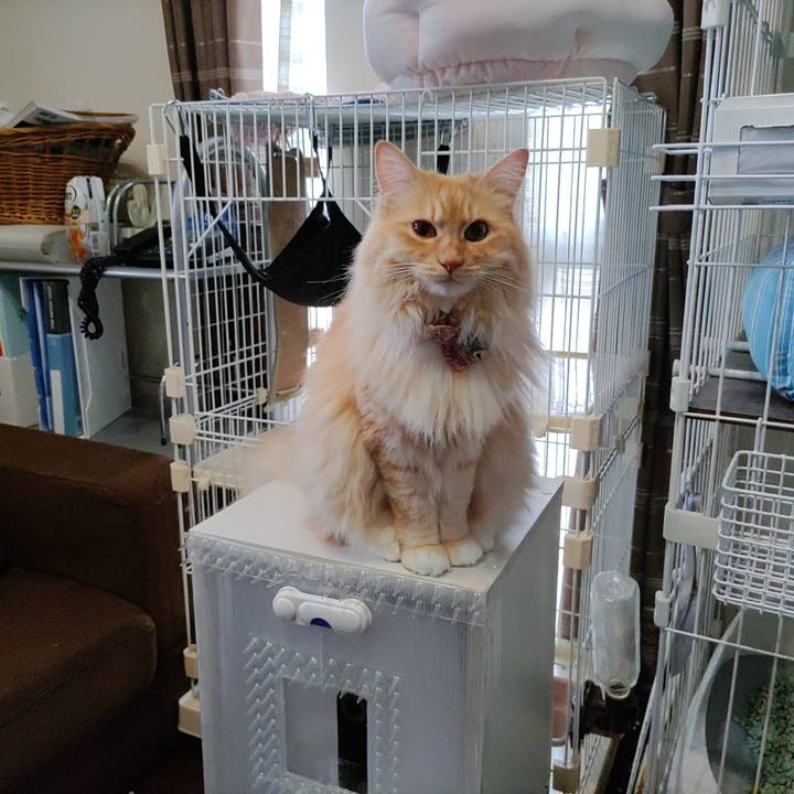 1afd497a bb16 457c a4c3 ec5f5ca31c43 1686449830409