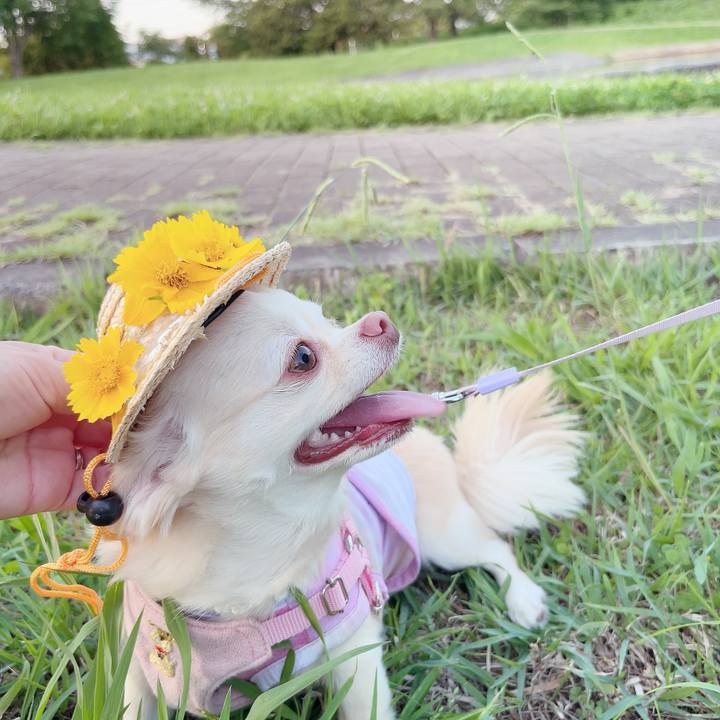 1afd5e12 67d6 4147 86c0 3e0829a202aa 1686996966738