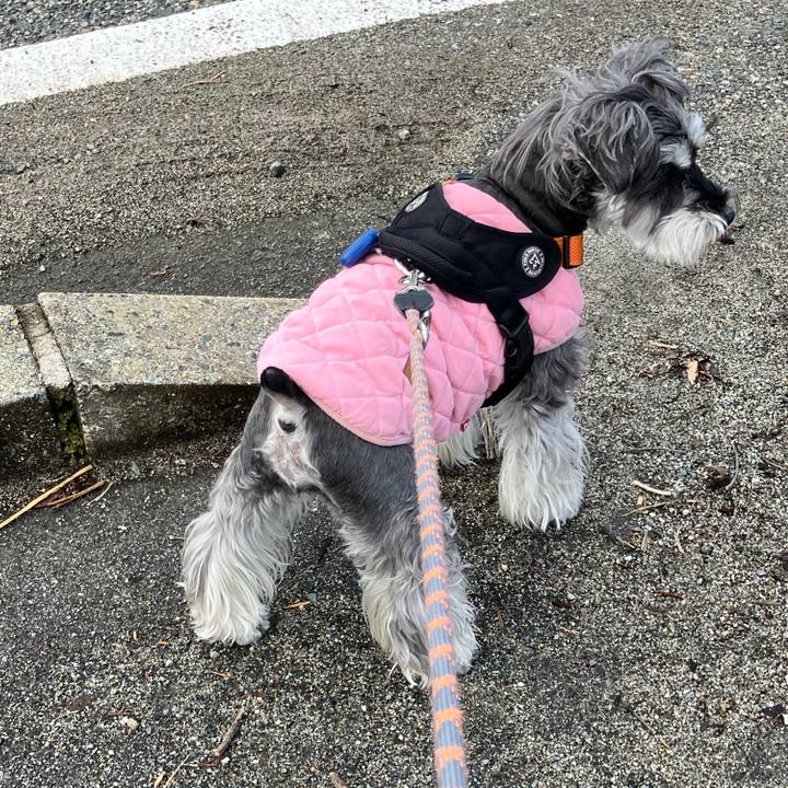 1afd6ebc 4cdf 40f5 b1ac d08301c1aebf 1773469135119