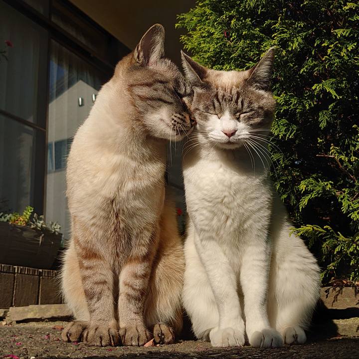 1afdb449 b169 46ea 978e 78ec55027987 1650181623682