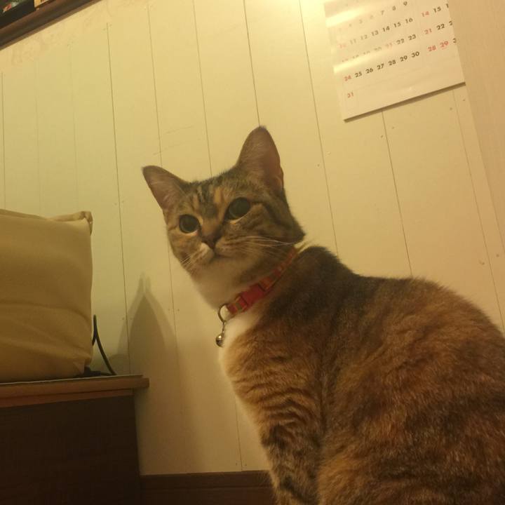 1afdfb67 aafe 4b82 9c5a d2de1e94ef45 1555942772698