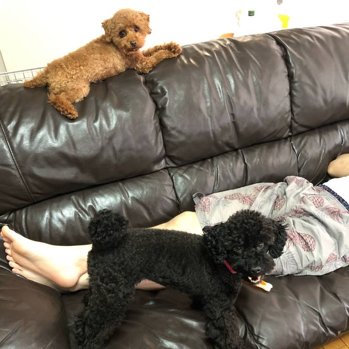 1afe0971 a5b6 4286 8e4a 409d23a449cb 1564870211756