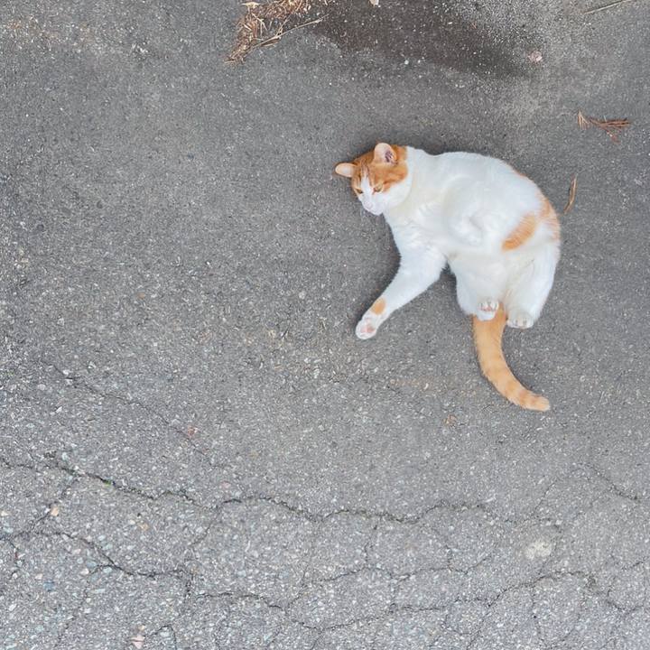 1afe3ecb c047 43ce bdfa eb1ff31fd3aa 1615517145809