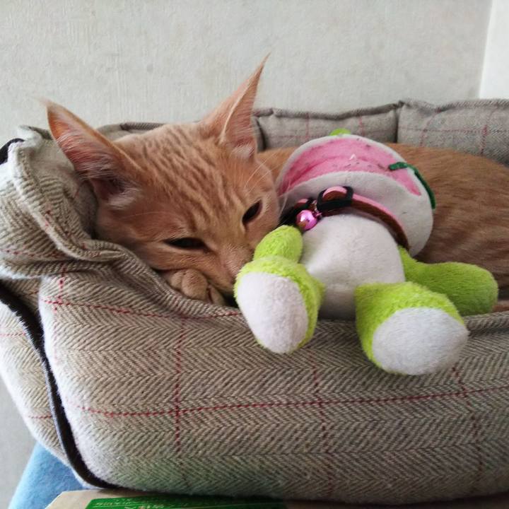 1afe40d1 813b 4937 b459 a4d767c04a6c 1548196291342