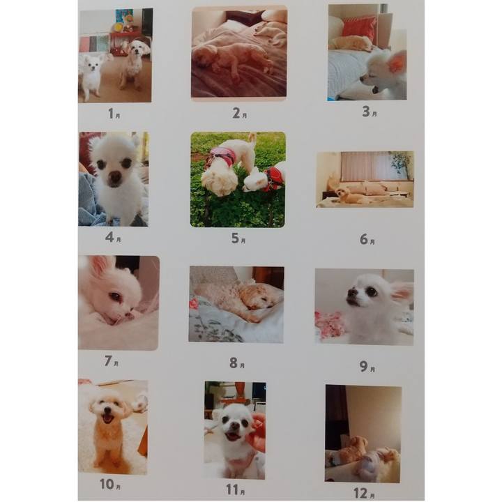 1afe611f 8c5f 44a5 b710 526cafca6ce4 1637316167294