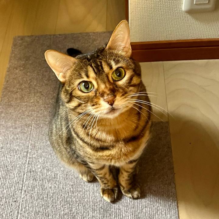 1afe66e6 f784 4840 a92c df1e3eeaefda 1652683462722