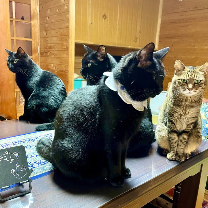 1afe68aa 2016 465a 9d09 14602f24c0c9 1721221146980