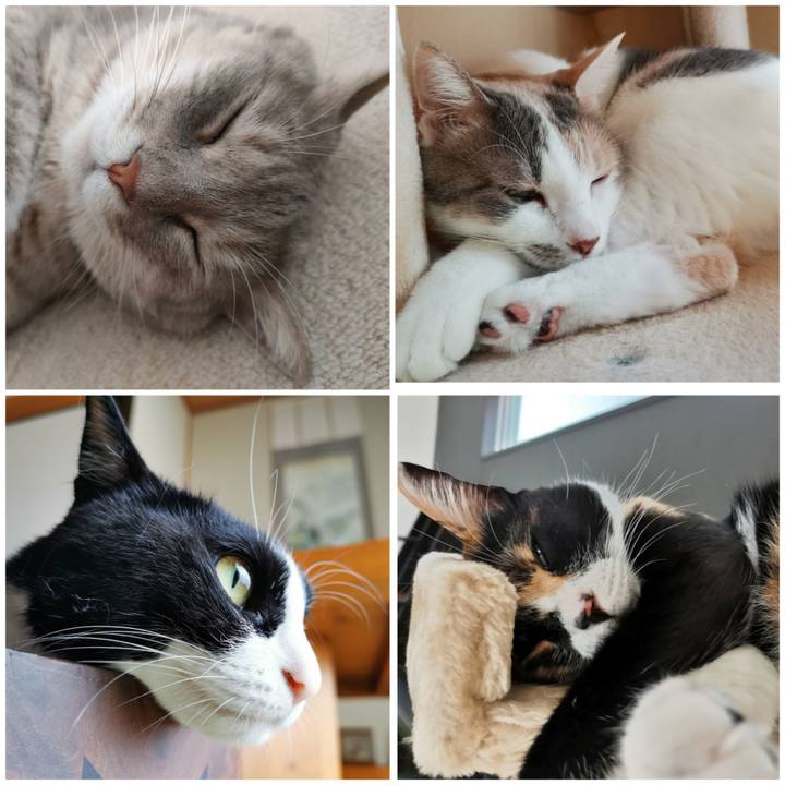 1afe8b2e 92d7 4a2b 935f 300445af0fe2 1659929981075