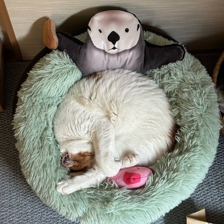 1afe8e97 9c5c 446b 8295 597cb0e2120f 1772974629847