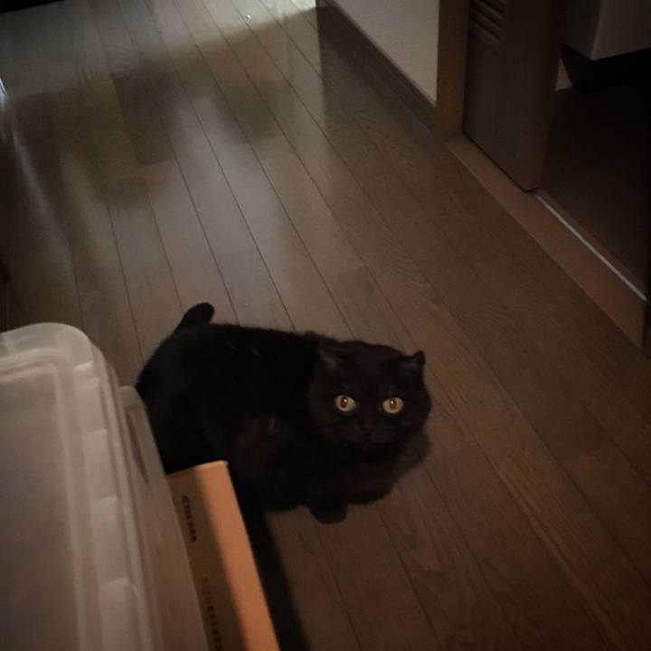 1afea8b4 8349 46a4 b96d c2b667b820eb 1516681914576